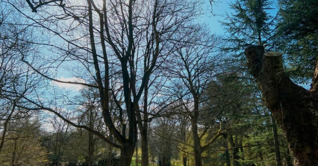 Why South West London Is London’s Best-Kept Secret